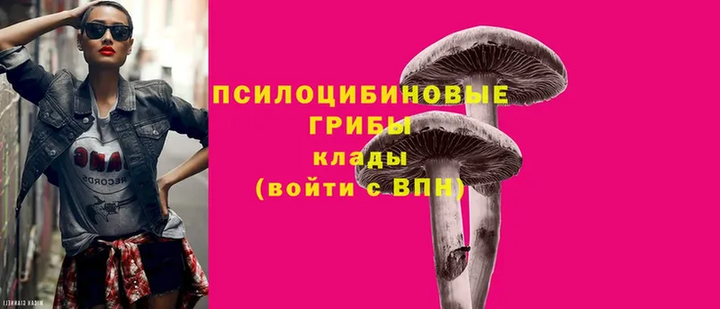 ссылка на мегу как войти  Шахты  Галлюциногенные грибы Cubensis 